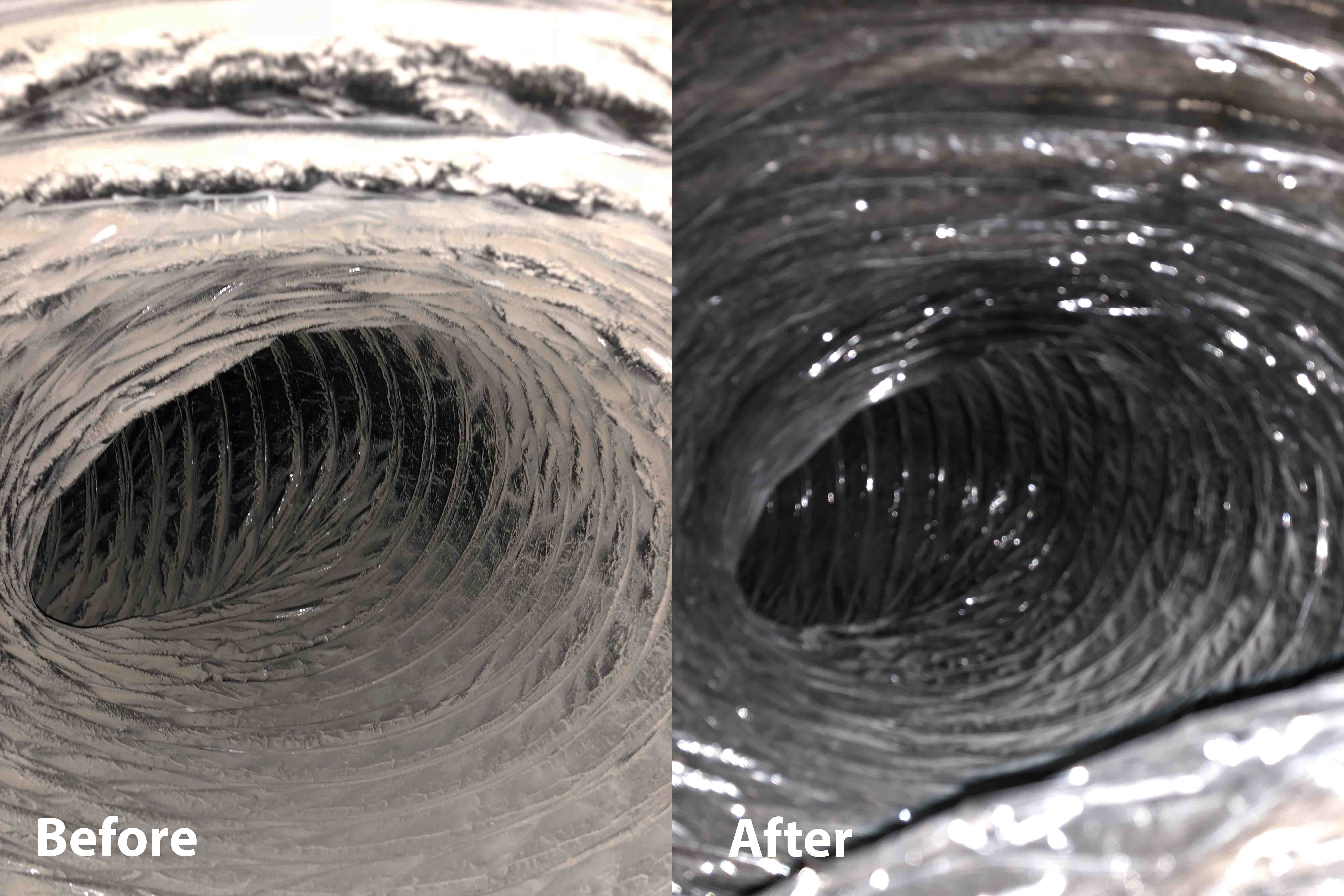 Zarts before after picture 0001